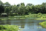 八つ橋からの風景