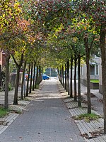 De oude Achterweg, die werd omgevormd tot een wandel- en fietspassage naar de nieuwe zuidelijke stationsingang