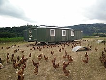 Mobilstall für 900 Freilandhennen von farmermobil