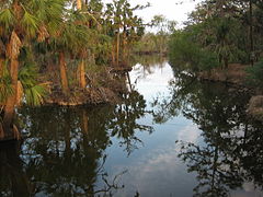 Bayou de la métairie en Louisiane.