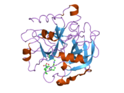 2anm: Ternary complex of an orally active thrombin inhibitor with human thrombin and a c-terminal hirudin derived exo-sit inhibitor