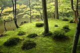 Le jardin de mousse Saihō-ji est à la fois un lieu spécial de beauté pittoresque et un site historique.