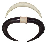 Septum Tusks aus Horn