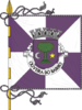 Flag of Oliveira do Bairro