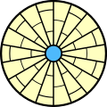 mit Anastomosen