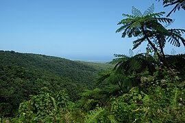 Panoramablick von den Wasserfällen des Carbet (Chutes du Carbet), Capesterre-Belle-Eau, auf Basse-Terre