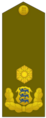 Estonia: Brigaadikindral