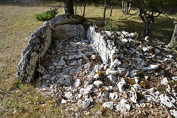 Dolmen de Combe-de-Saule n°1.