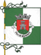 Flagge des Concelhos Coimbra