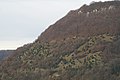 Ein Habitat: Wacholderheide im Oberen Filstal bei Deggingen (Schwäbische Alb)