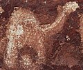 Image 7Neolithic rock art at the Laas Geel complex depicting a camel. (from History of Somalia)