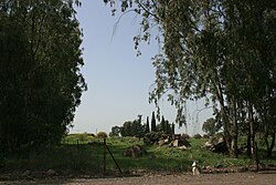 Ruins of Al-'Al