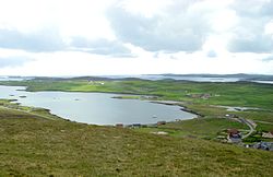 Na Shetlanskich kupach blisko Lerwick