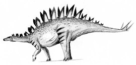 (Tuojiangosaurus multispinus)