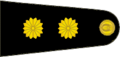 Insinia de teniente coronel del Exércitu Arxentín.