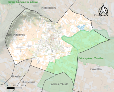 Carte de la ZNIEFF de type 1 sur la commune.