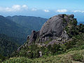 Yakushima.