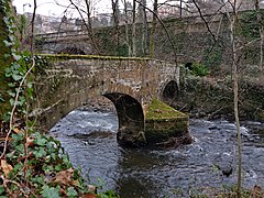 Photographie du plus vieux pont de Thiers, le pont Vielh.