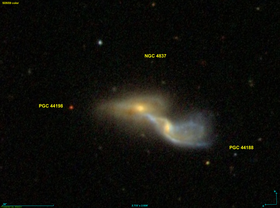 Image illustrative de l’article NGC 4837