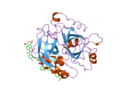 2h9t: Crystal structure of human alpha-thrombin in complex with suramin