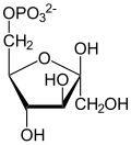 Strukturformel von β-D-Fructose-6-phosphat