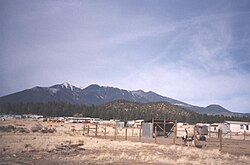 View of San Francisco Peaks from Doney Park