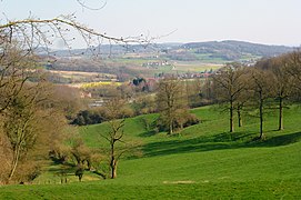 Paysage vallonné des monts de Flandre, vu du Mont des Cats.