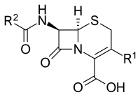 Cephalosporina