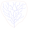 Bacino e reticolo idrografico