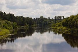 Wiks va Bolcaya Kokcaga kuksa