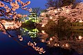 高田城址公園観桜会（日本三大夜桜）