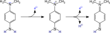 Dimethylphenylendiamine Oxidation.svg