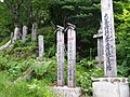 登山道之一風景