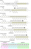 Arthropod segment Hox gene expression