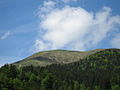 planina Golica