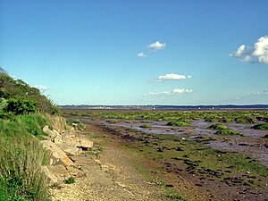 Salzwiese im Solent, im Hintergrund die Isle of Wight, Mai 2005