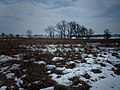 Homestead National Monument