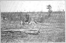 Black and white image of a man standing in a wasteland of massive tree stumps that stretch to the horizon. A few small trees are still standing.