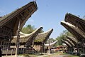 A falu tongkonan, házának toraja emberek, Sulawesi, Indonézia.