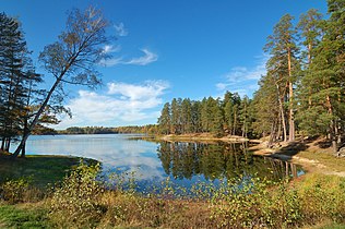 Wiks va Seryoja kuksa is Pustinskoye uzda