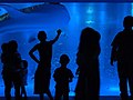 のとじま臨海公園水族館のジンベイザメ館（七尾市）