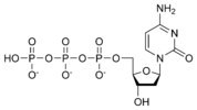 Chemical structure of deoxycytidine triphosphate