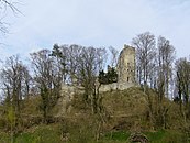 Ruine Neuburg