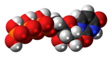 Ball-and-stick model of the UTP molecule as an anion