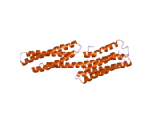 1zw3: Vinculin Head (0-258) in Complex with the Talin Rod residues 1630-1652