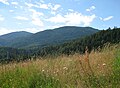 Trudner Horn im Naturpark Trudner Horn