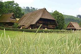 Freiliechtmuseum Vogtsburehof