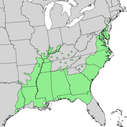 Distribución natural de Quercus michauxii