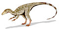 Compsognathus longipes, um pequeno dinossauro terópode