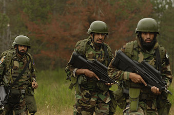 Pakistan Air Forces's Special Service Wing in its current Camouflage.